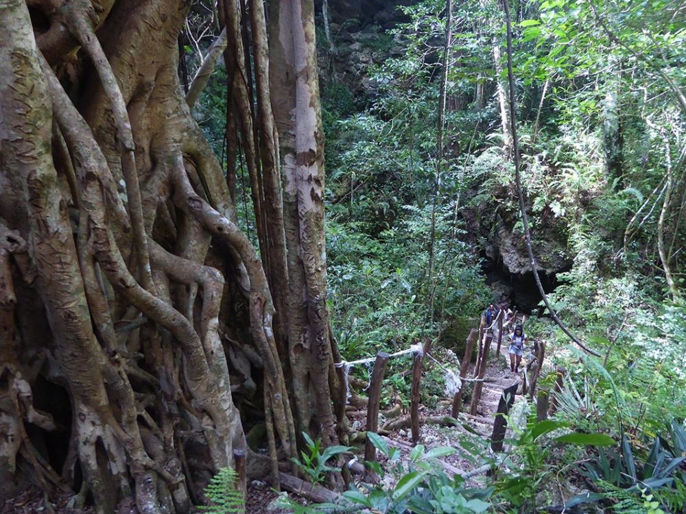 Cave entrance 9.jpg