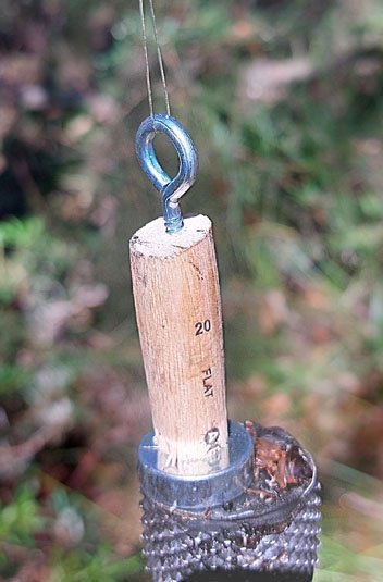 20250420_122522.jpg.a49b58682af15512177c80b9ff884b05.jpg